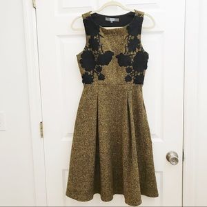 Nordstrom Eva Franco wool blend lace detail dress